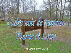 149 CADRE NOIR DE SAUMUR MAINE ET LOIRE 2016